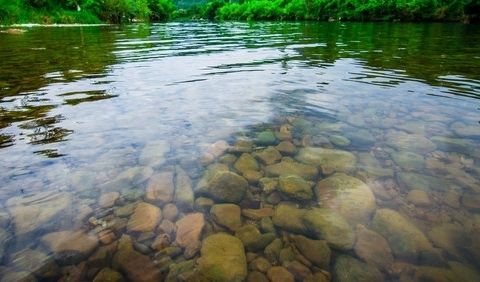 水質(zhì)檢測(cè)